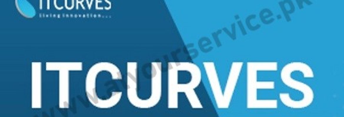 ITCurves – IT Company in Florida USA