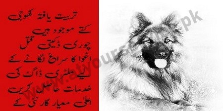 Army Dog Center Faisalabad