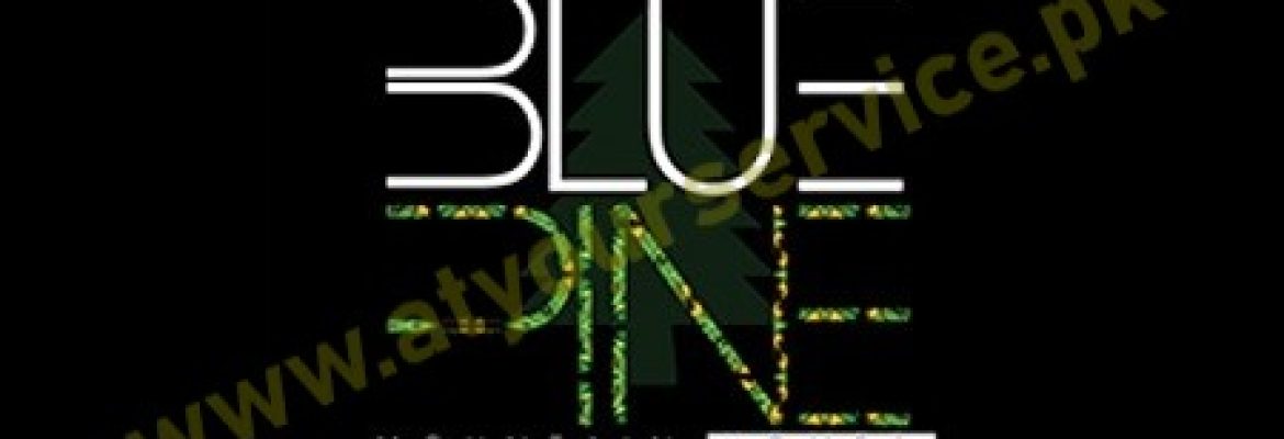 Blue Pine Mountain Homes