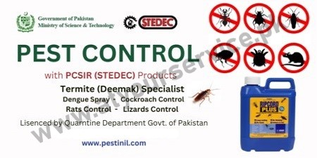 Pest Control Services in Lahore