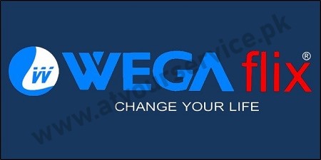 Online Electronic Store in Pakistan