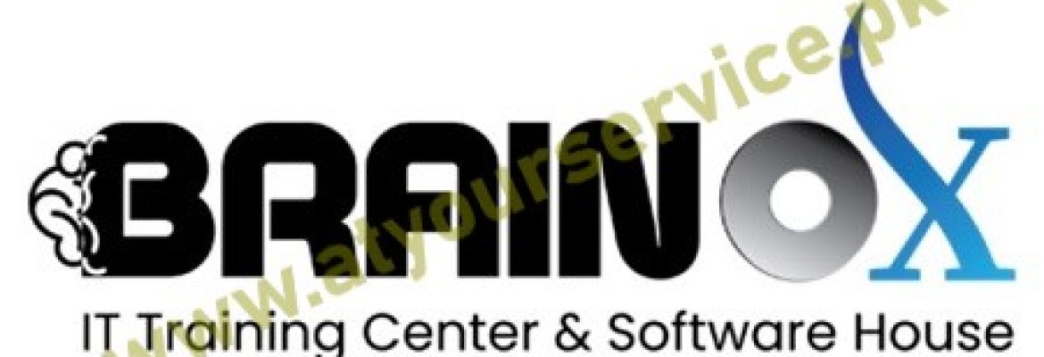 BrainOx IT Solutions