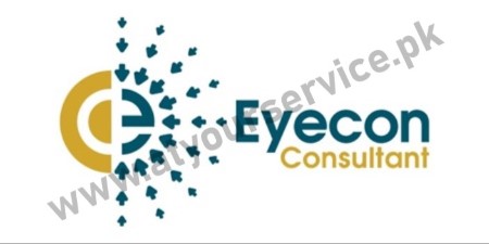 Software Company in Pakistan