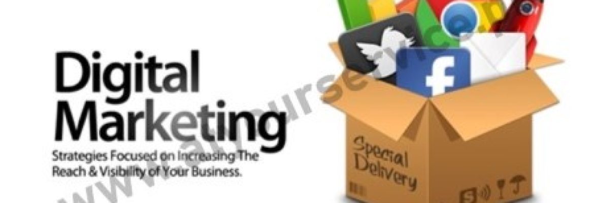 Mehak Walayat – Digital Marketing Expert in Faisalabad