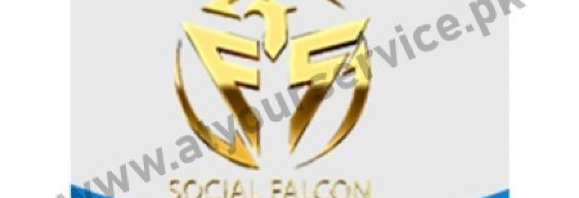 Social Falcon – Digital Marketing Agency