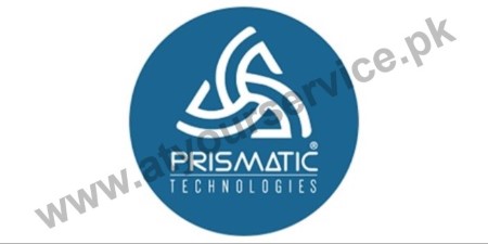 Customized Software Development Company - Prismatic Technologies