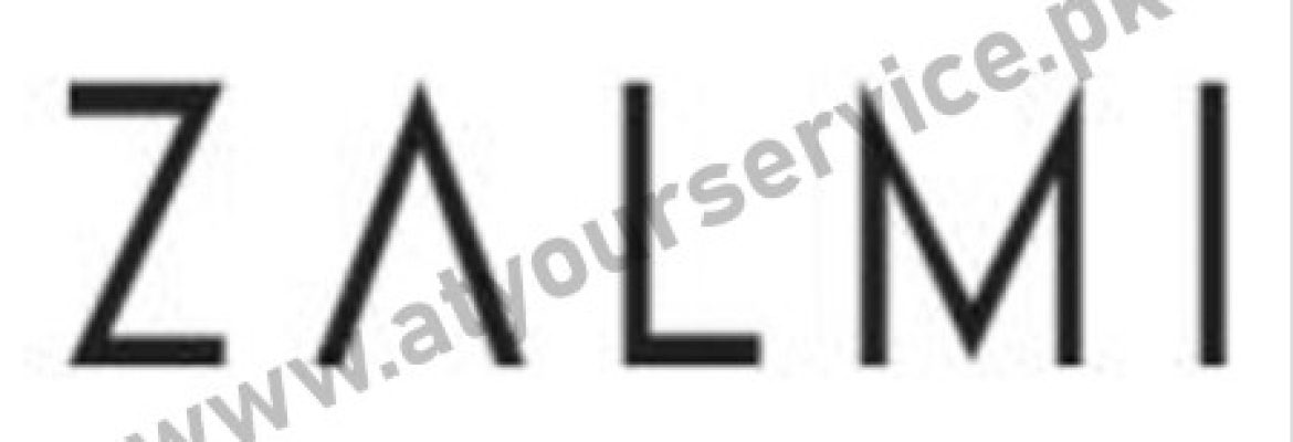 Zalmi Store – Cricket Outfits for Men