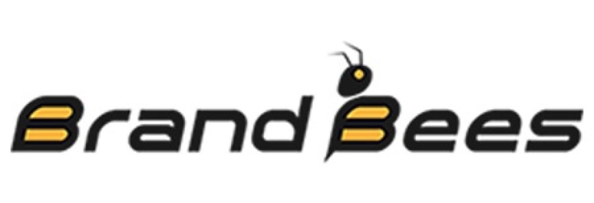 Brandbees –  Web Design and Development